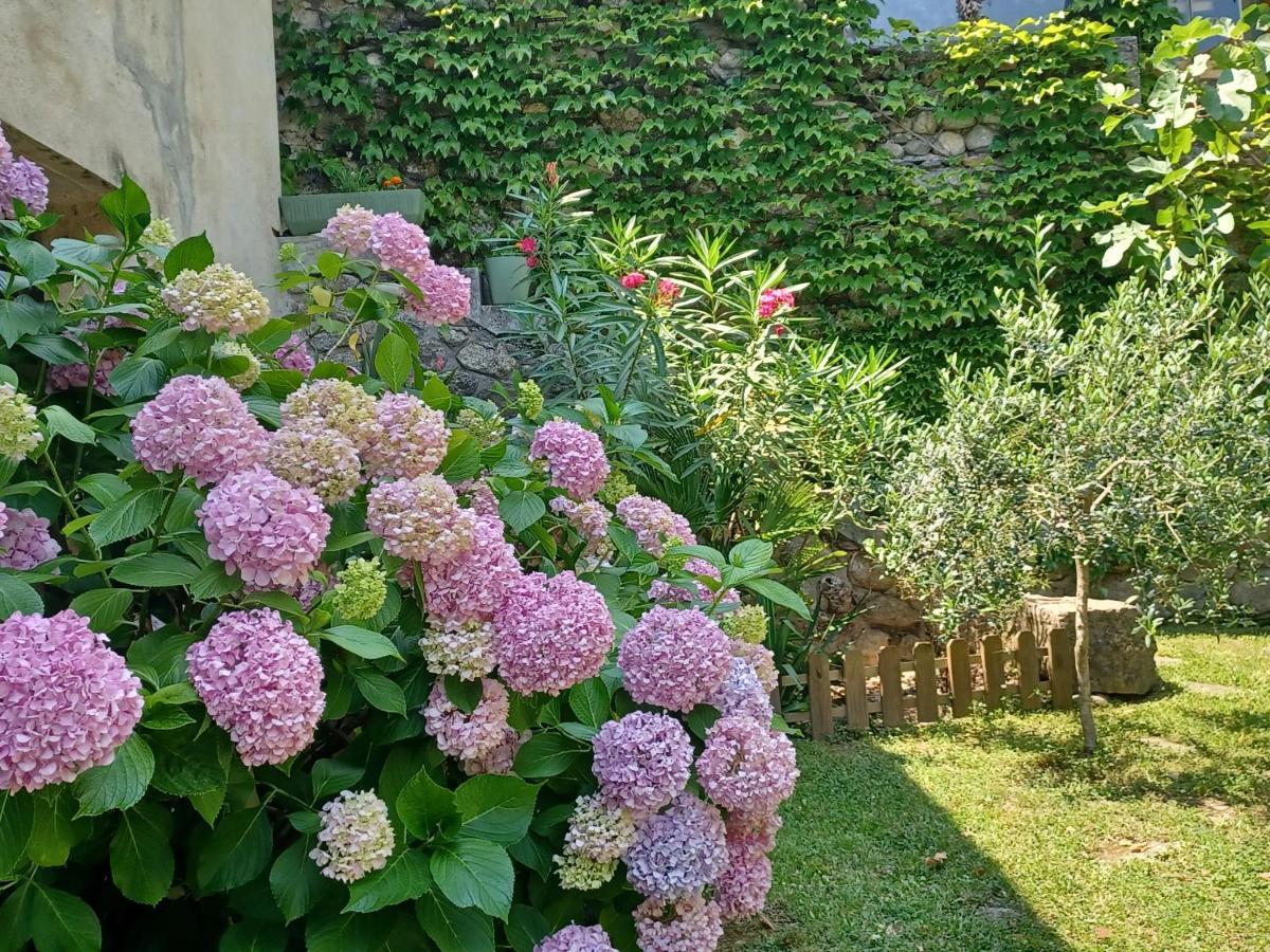Les Glycines Bed & Breakfast Le Vigan  Eksteriør bilde